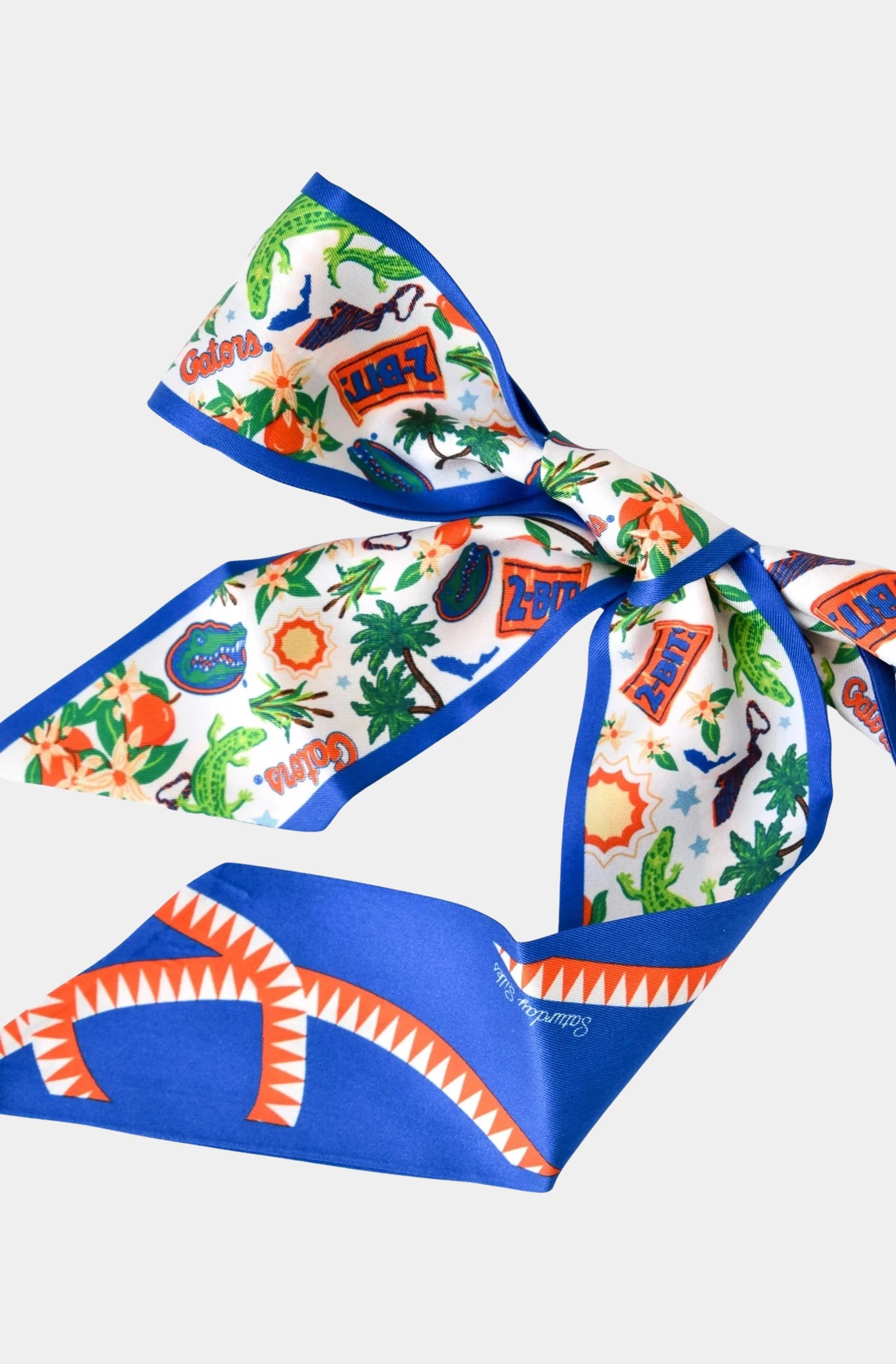 Florida Gators Skinny Scarf