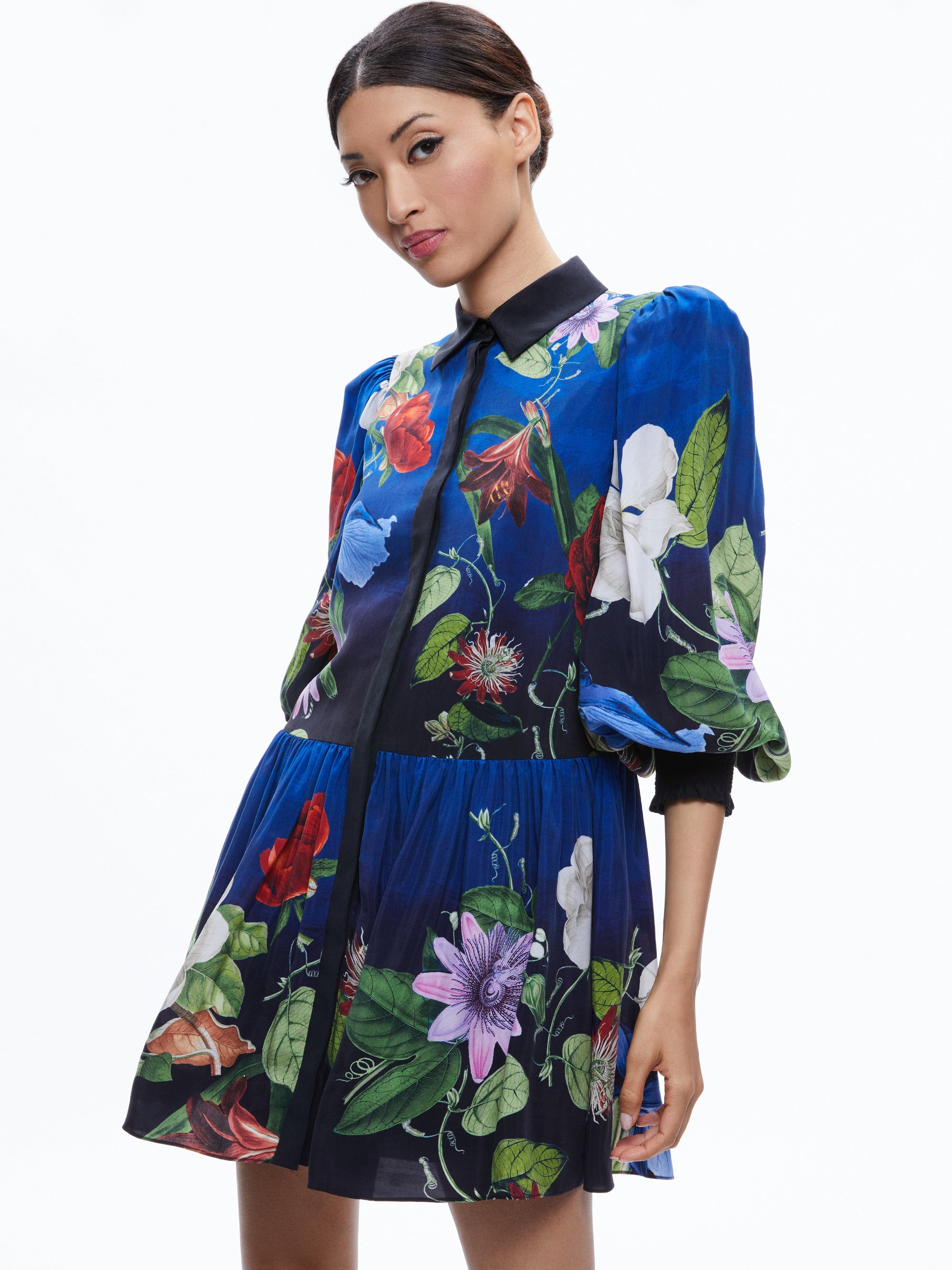 Bertha Blouson Sleeve Mini Dress
