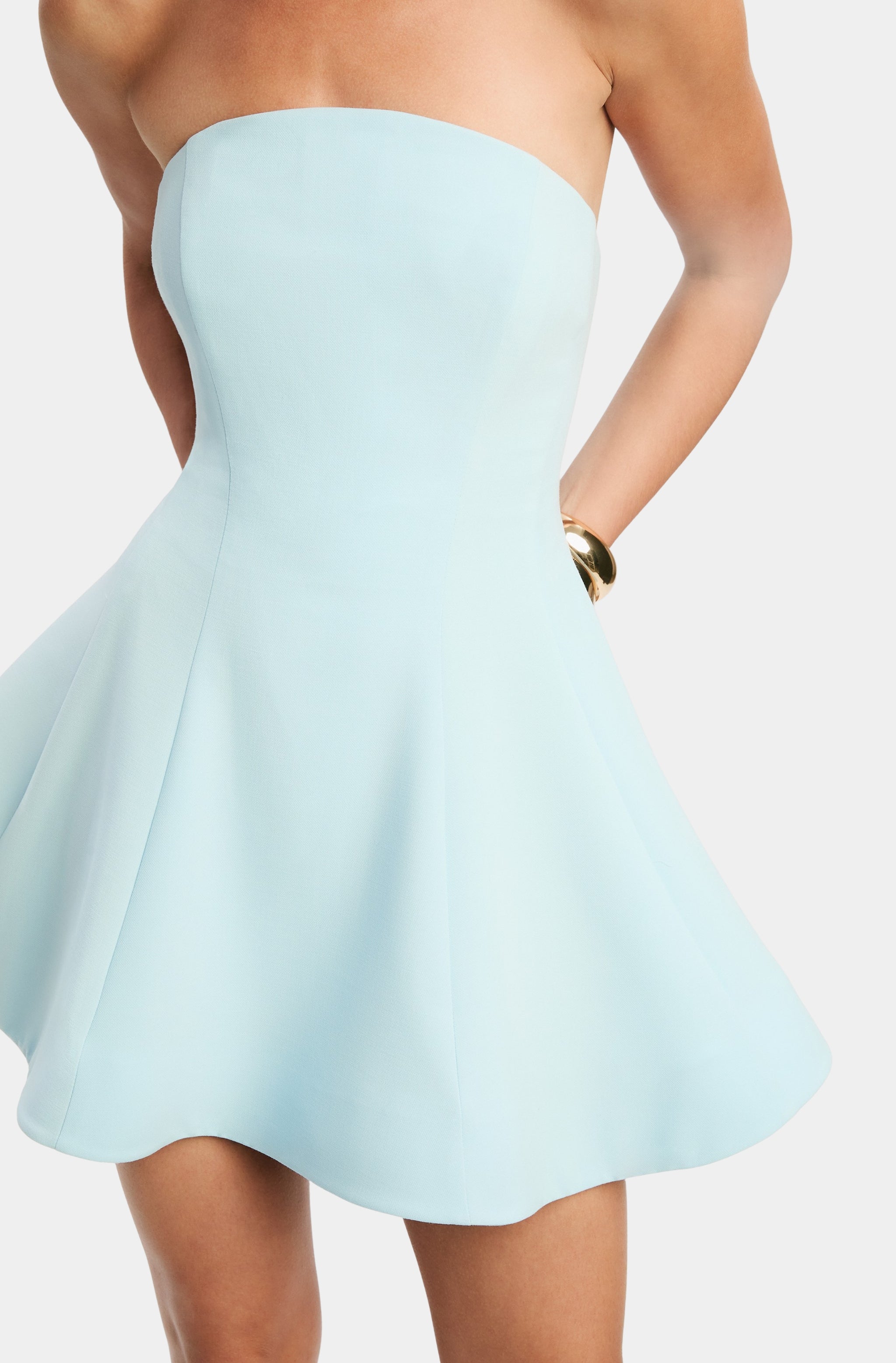 Nikita Strapless Mini Dress
