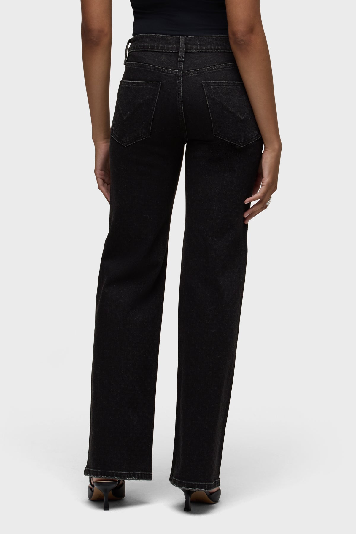 Hudson Rosie High-Rise Wide Leg w/Embellishment in Rodeo Bling — back