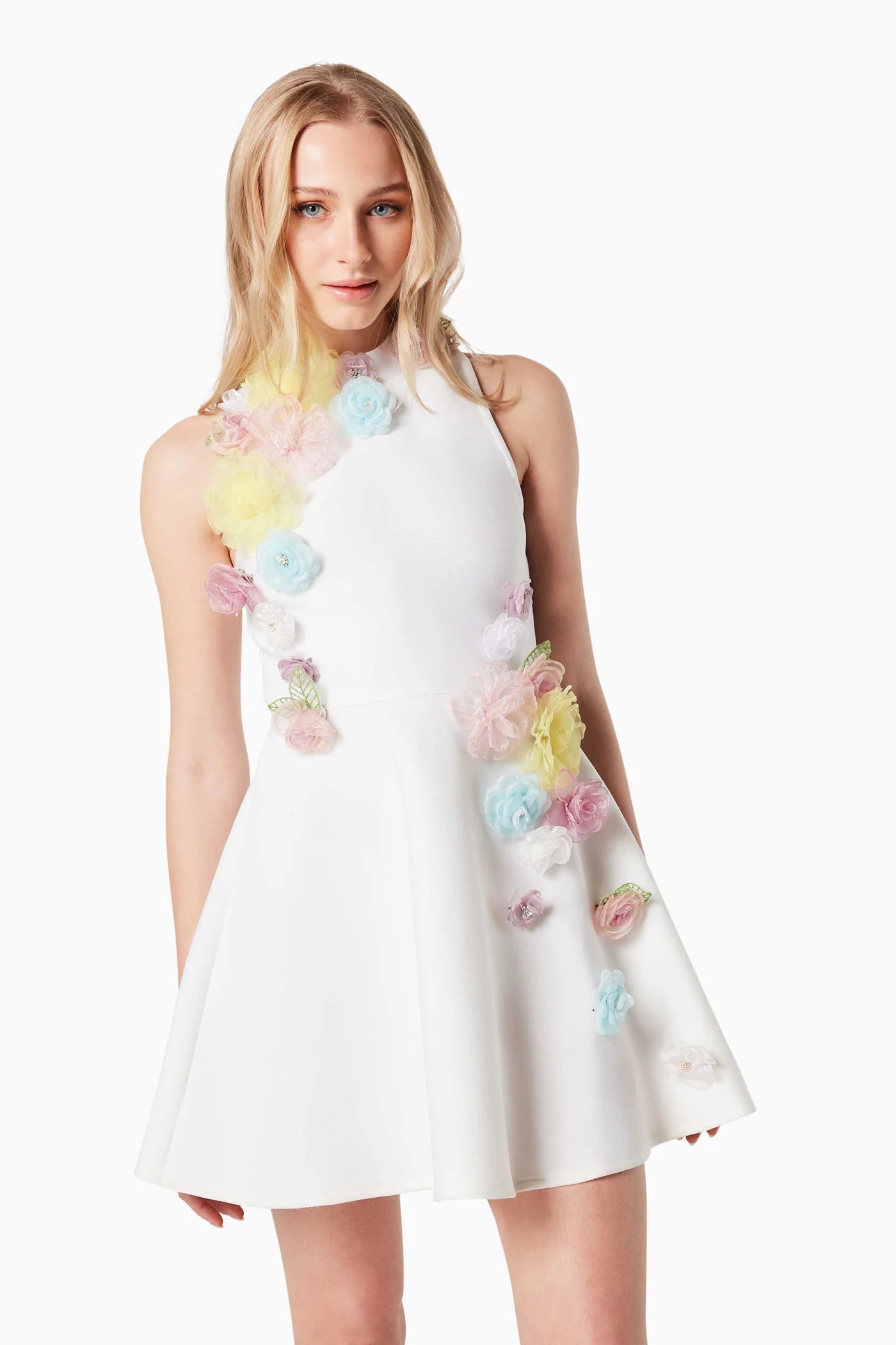 Lyrics 3D Floral Mini Dress